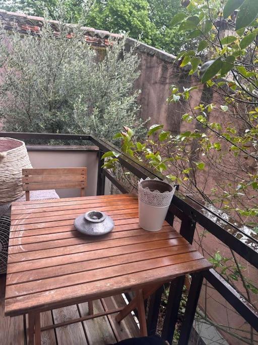 Jardin Des Plantes Parking Securise Terrasse Et Ascenseur Apartment Toulouse Luaran gambar